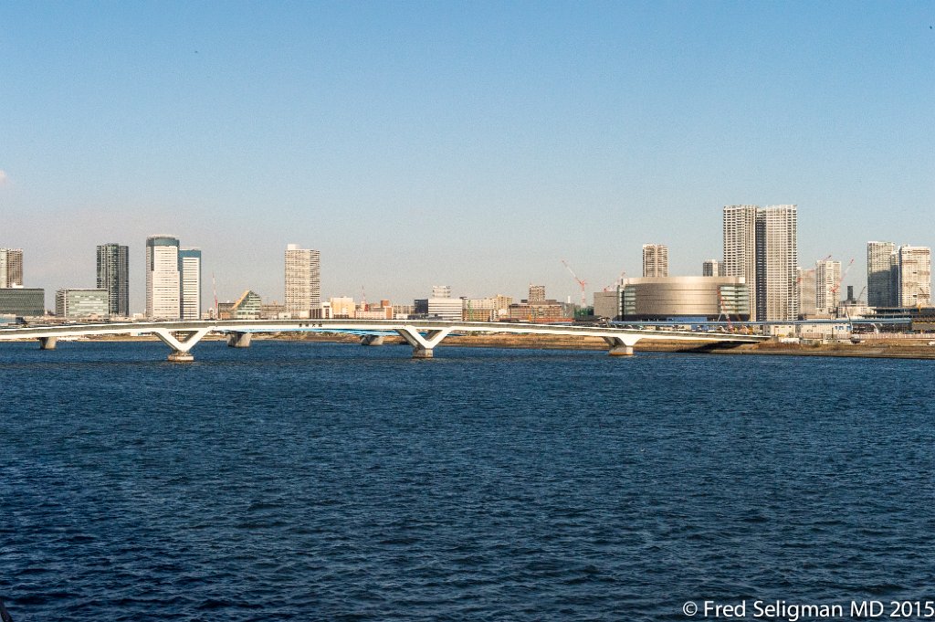 20150311_155508 D4S.jpg - Tokyo skyline near main port